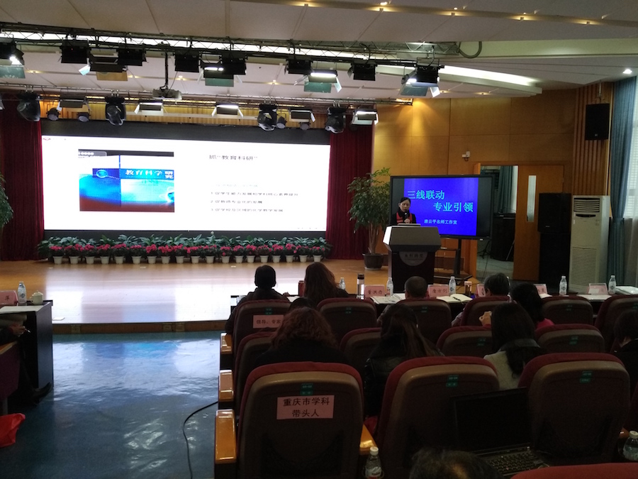 3-高山老师发言